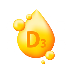 D3