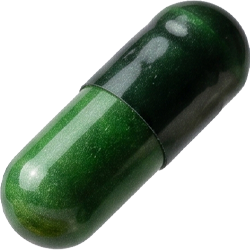 vitaminepil B12